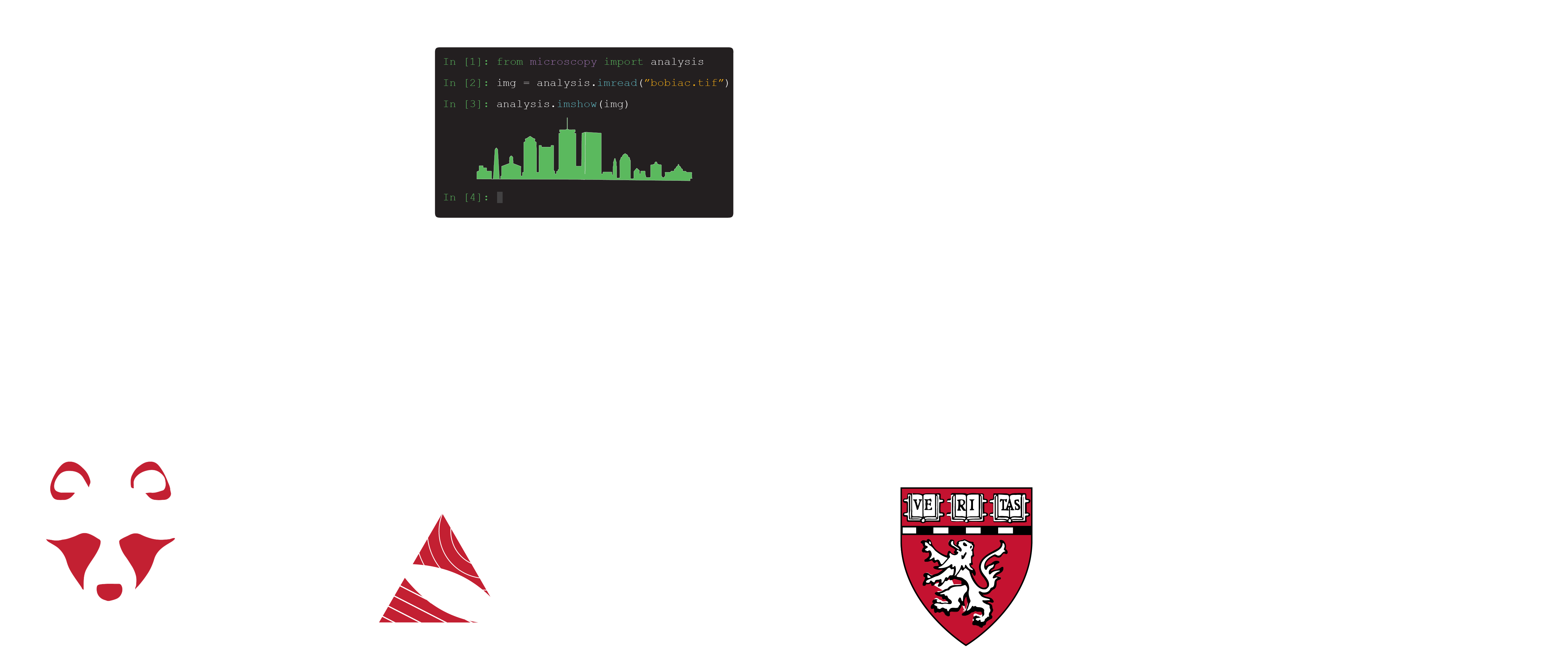 BoBiAC 2025 - Boston Bioimage Analysis Course