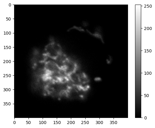 ../../_images/b75247e01e38112a0e1189bec6e8319875fa312e7f3f8e2ec053cf02cc8fa136.png