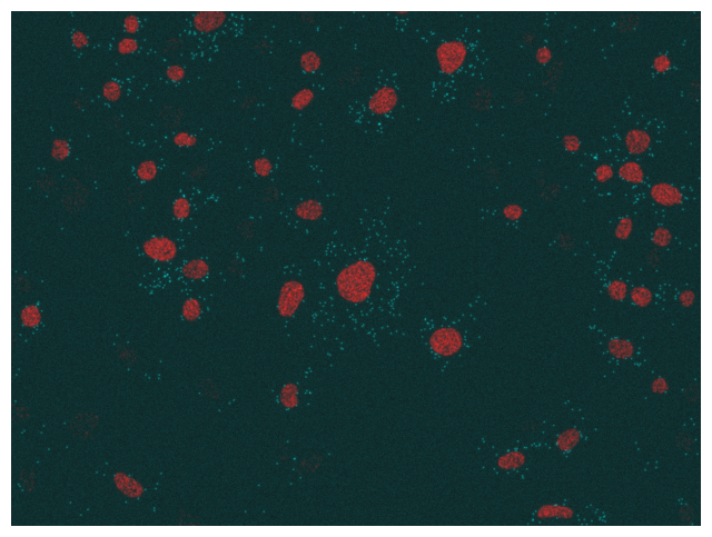 ../../_images/65540bc62d84908741a993c249141db3d6463e96a607c1889dcd72d212afd32e.png