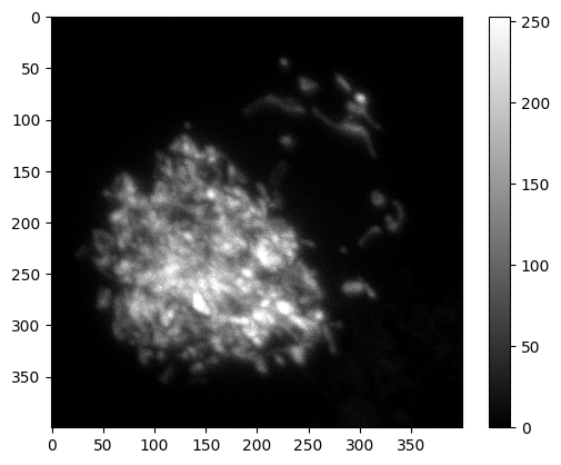 ../../_images/ef594bdc5ade505199a3274704b32ef08c11c1c7dddbb3609a9d6cd80417e4c3.png
