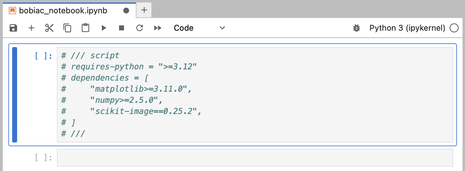 JupyterLab interface